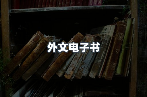 外文电子书